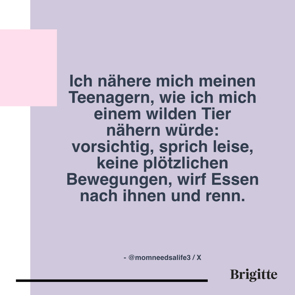 TeenagerSprüche "Willst du mich verarschen?" BRIGITTE.de