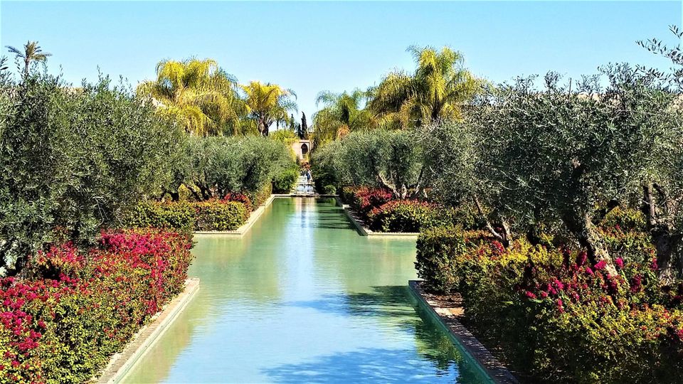 Entspannte Aussichten in Palmeraie, Marrakesch 