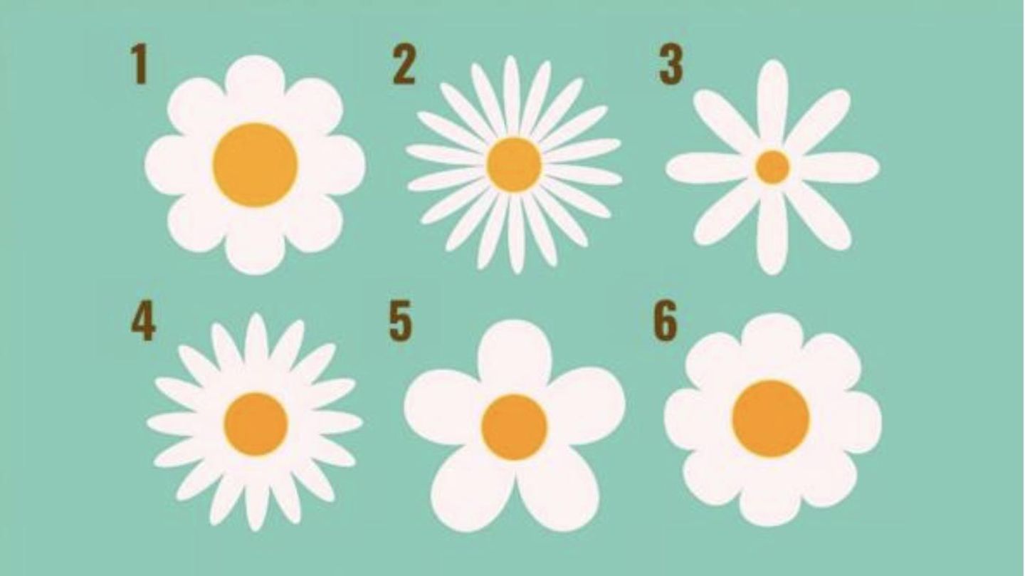Pers-nlichkeitstest-W-hle-eine-Blume-und-erfahre-welche-Energie-du-auf-andere-ausstrahlst
