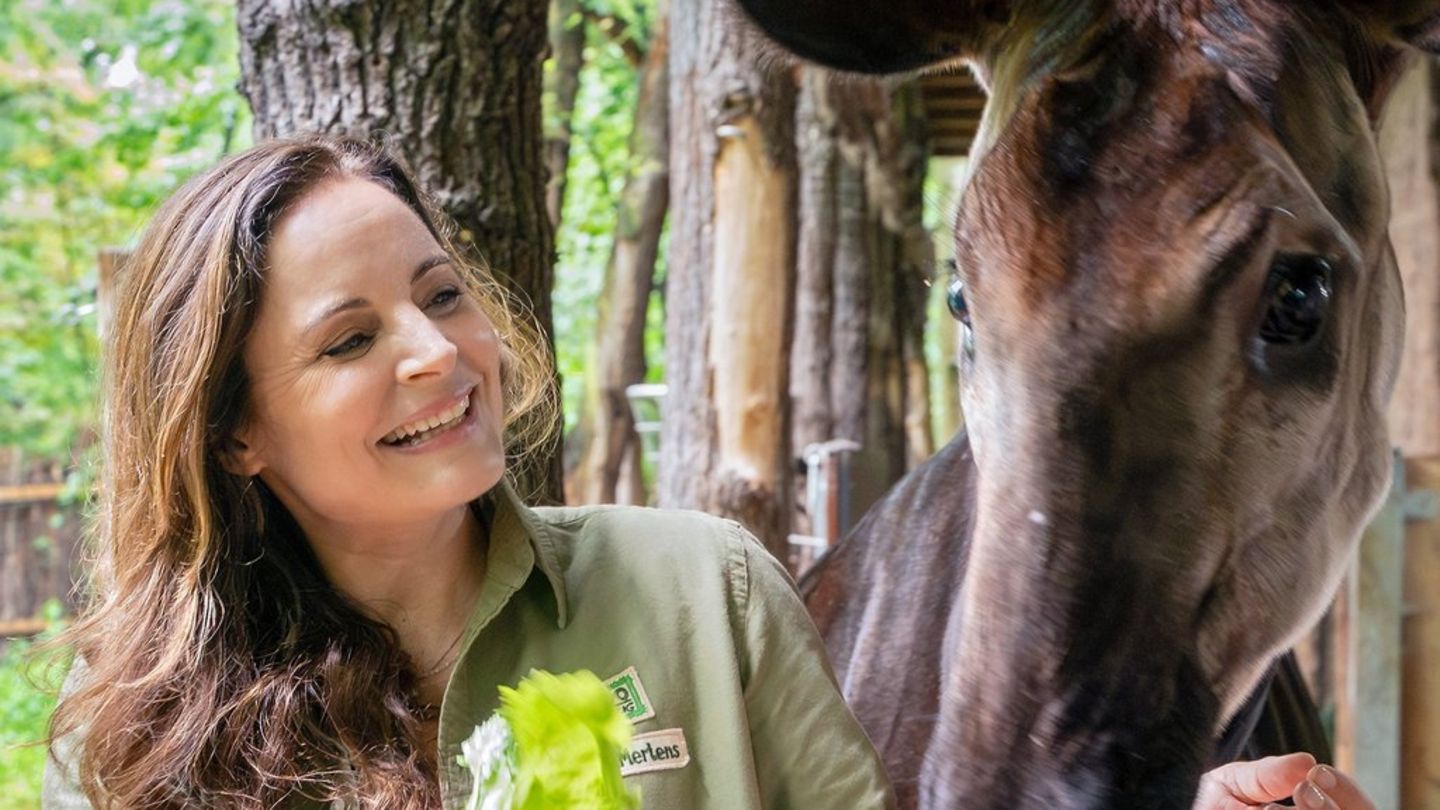 TV-Serie "Tierärztin Dr. Mertens": Staffelstart mit frischem Wind und Jubiläum