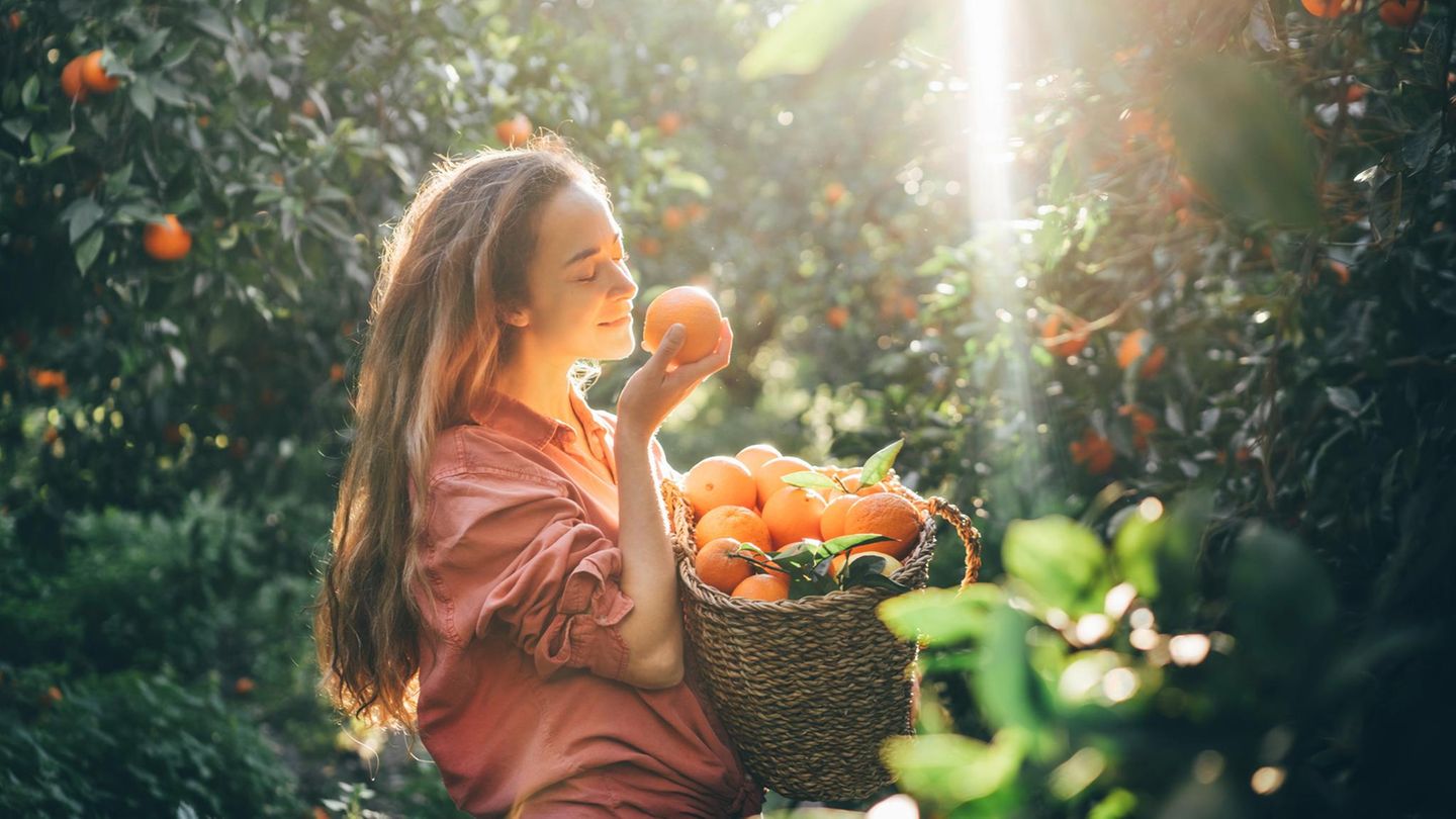Zitrusfrüchte als Stimmungsbooster? Studie enthüllt überraschenden Zusammenhang mit psychischer Gesundheit