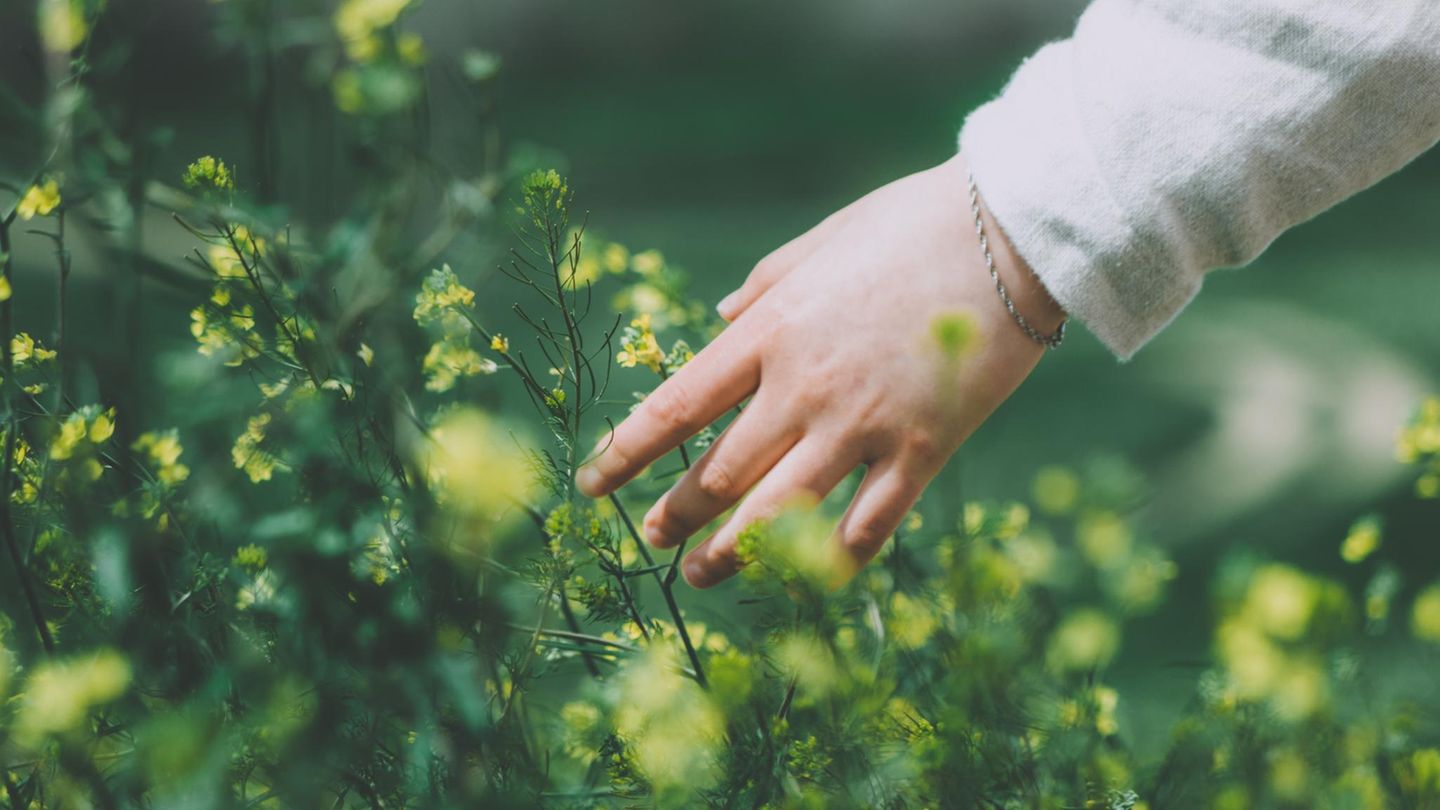 Bye-bye-toxische-Selbstoptimierung-Wie-die-Slow-Bloom-Methode-uns-gesund-wachsen-l-sst