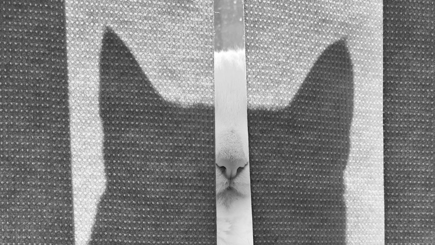 Liza del Sierra video