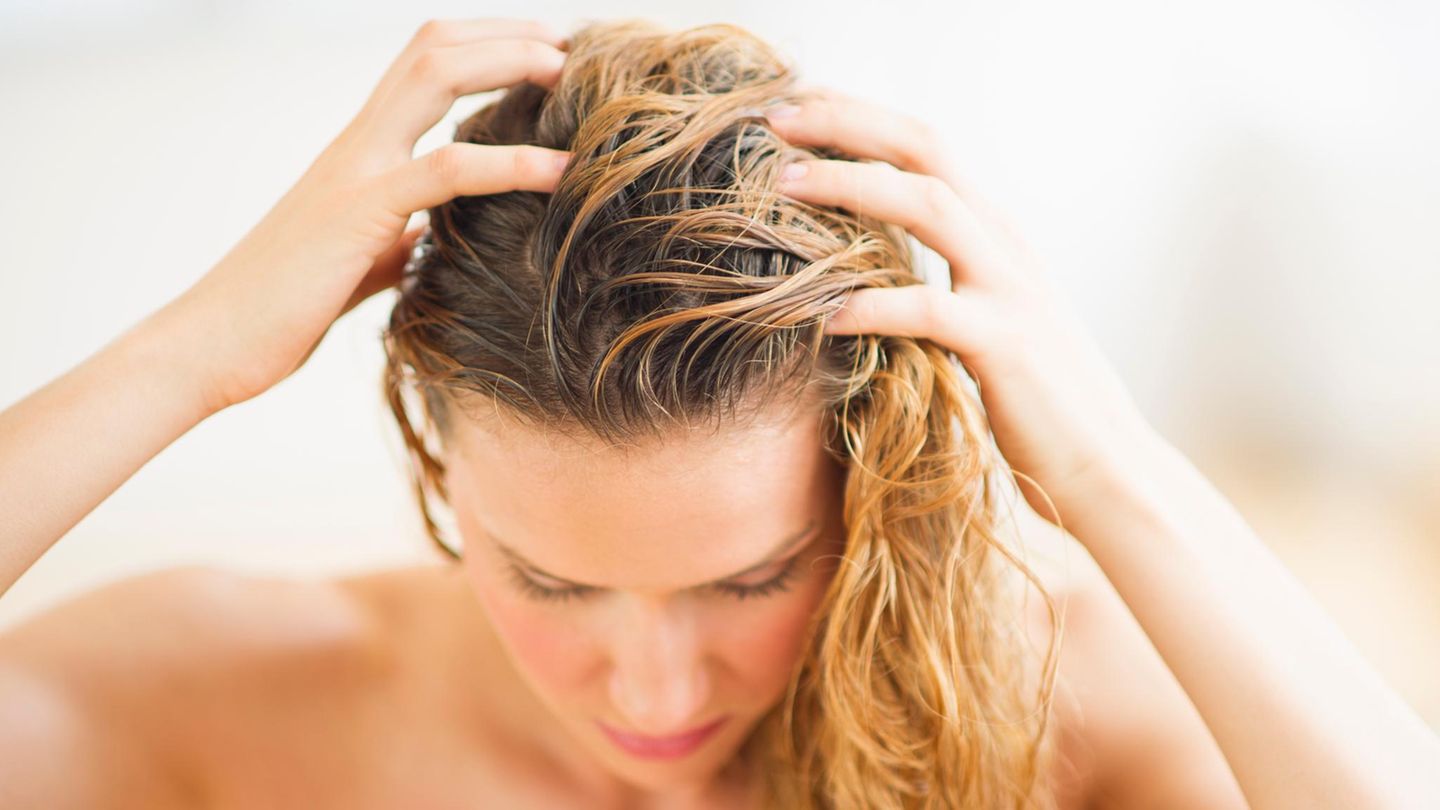 Shampoo-Conditioner-Co-Mit-diesen-Produkten-verabschieden-wir-uns-von-trockener-Kopfhaut