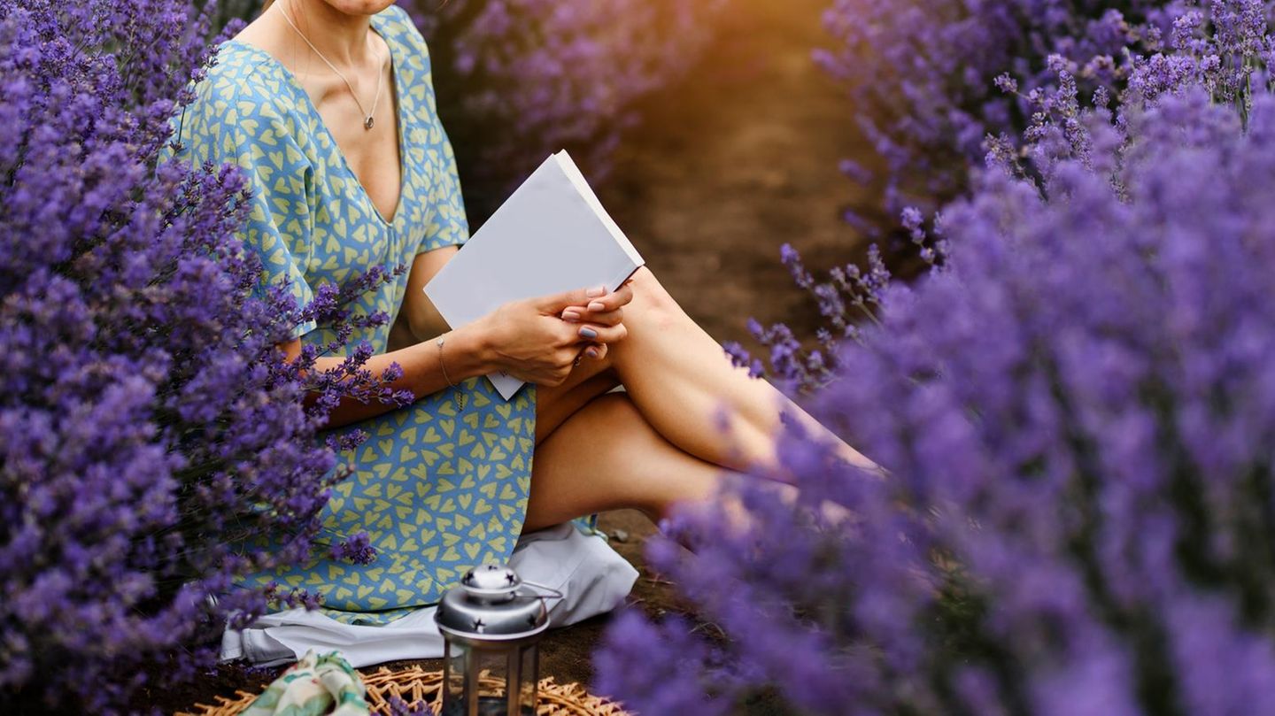 Psychologie-5-Qualit-ten-von-Menschen-die-lieber-gedruckte-B-cher-als-E-Books-lesen