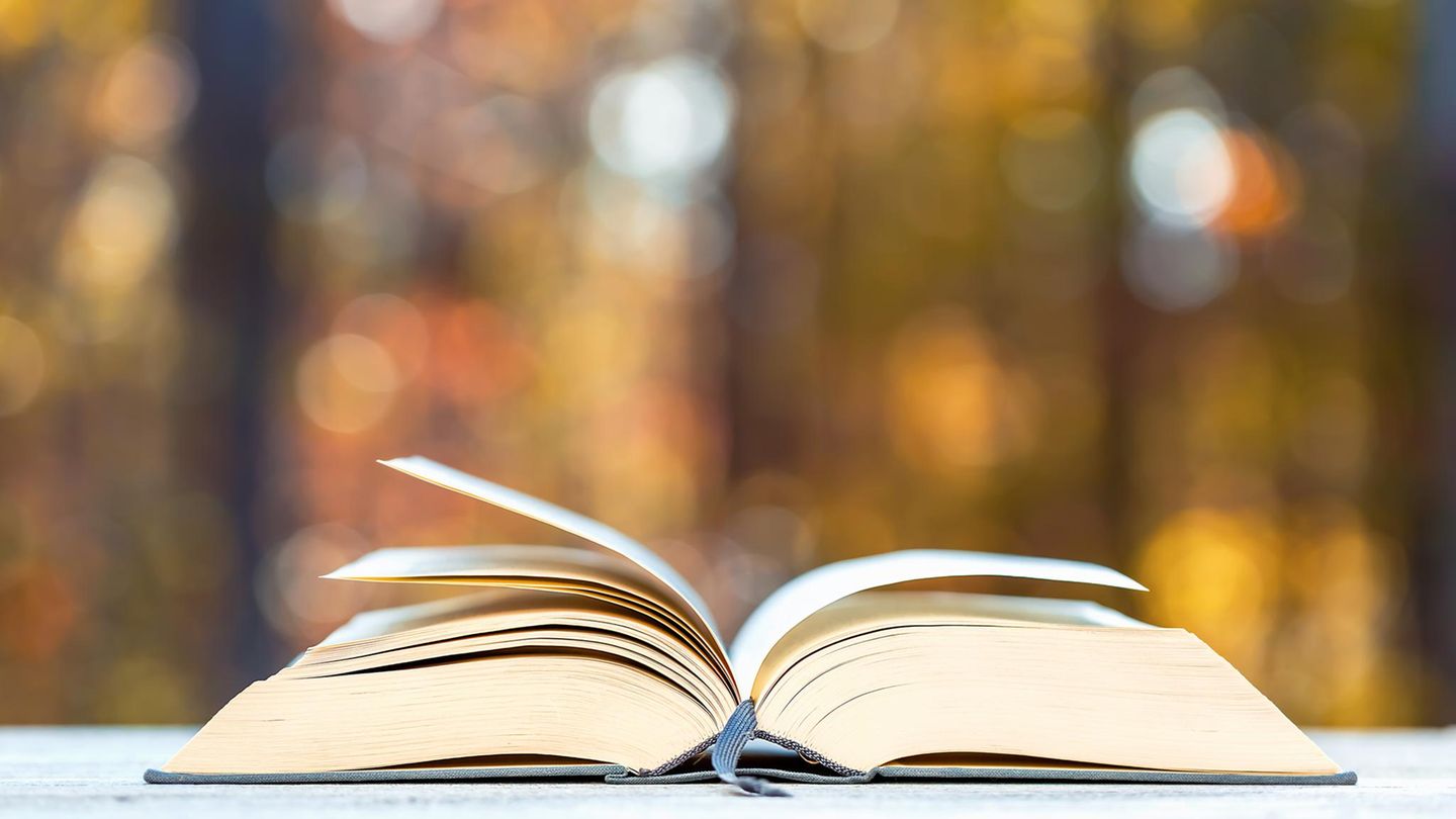 BRIGITTE-Buchtipps-Die-5-besten-Familienromane-f-r-diesen-Herbst-und-Winter