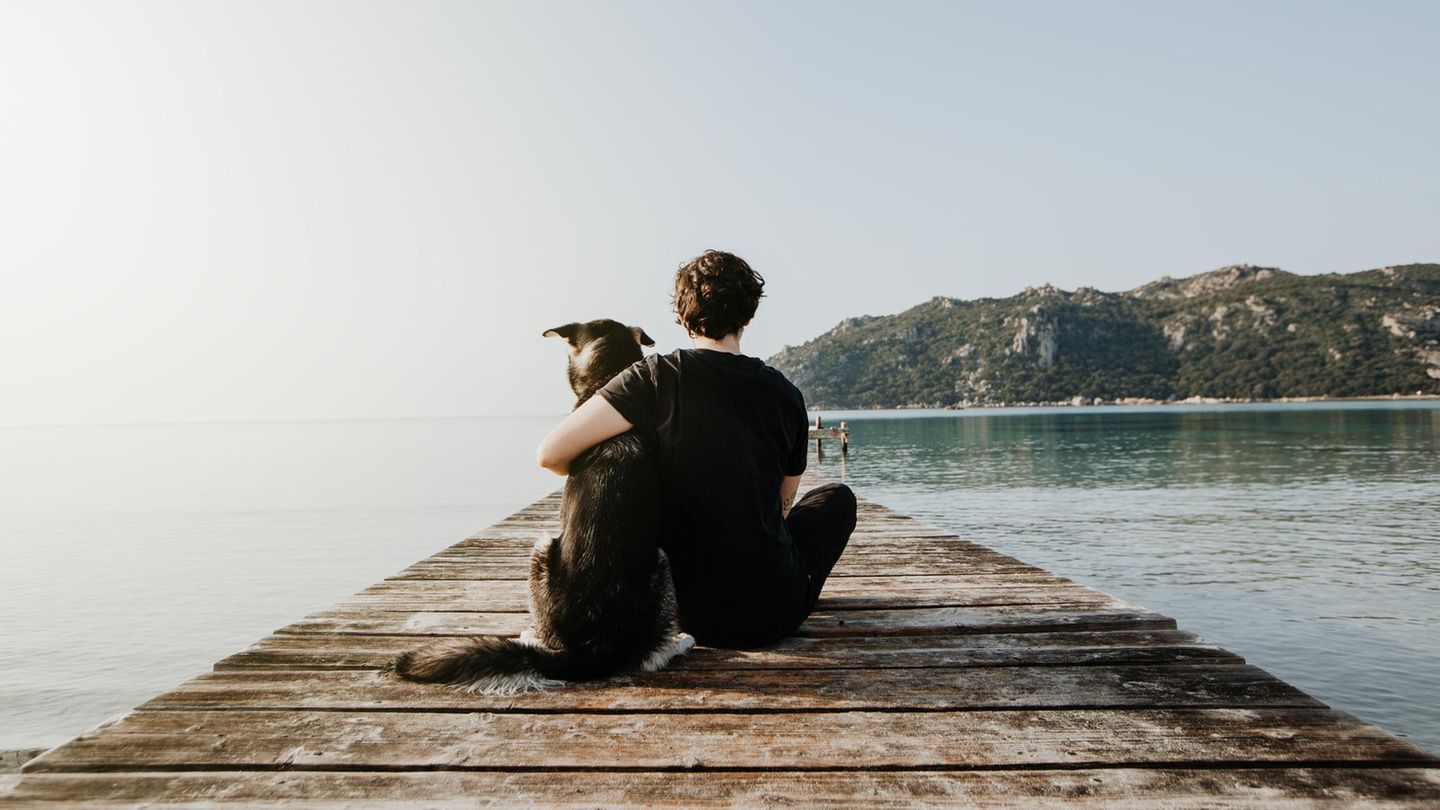 Wehrpflicht-Dilemma: "Ich will, dass wir aufrüsten – aber mein Sohn soll verschont bleiben"