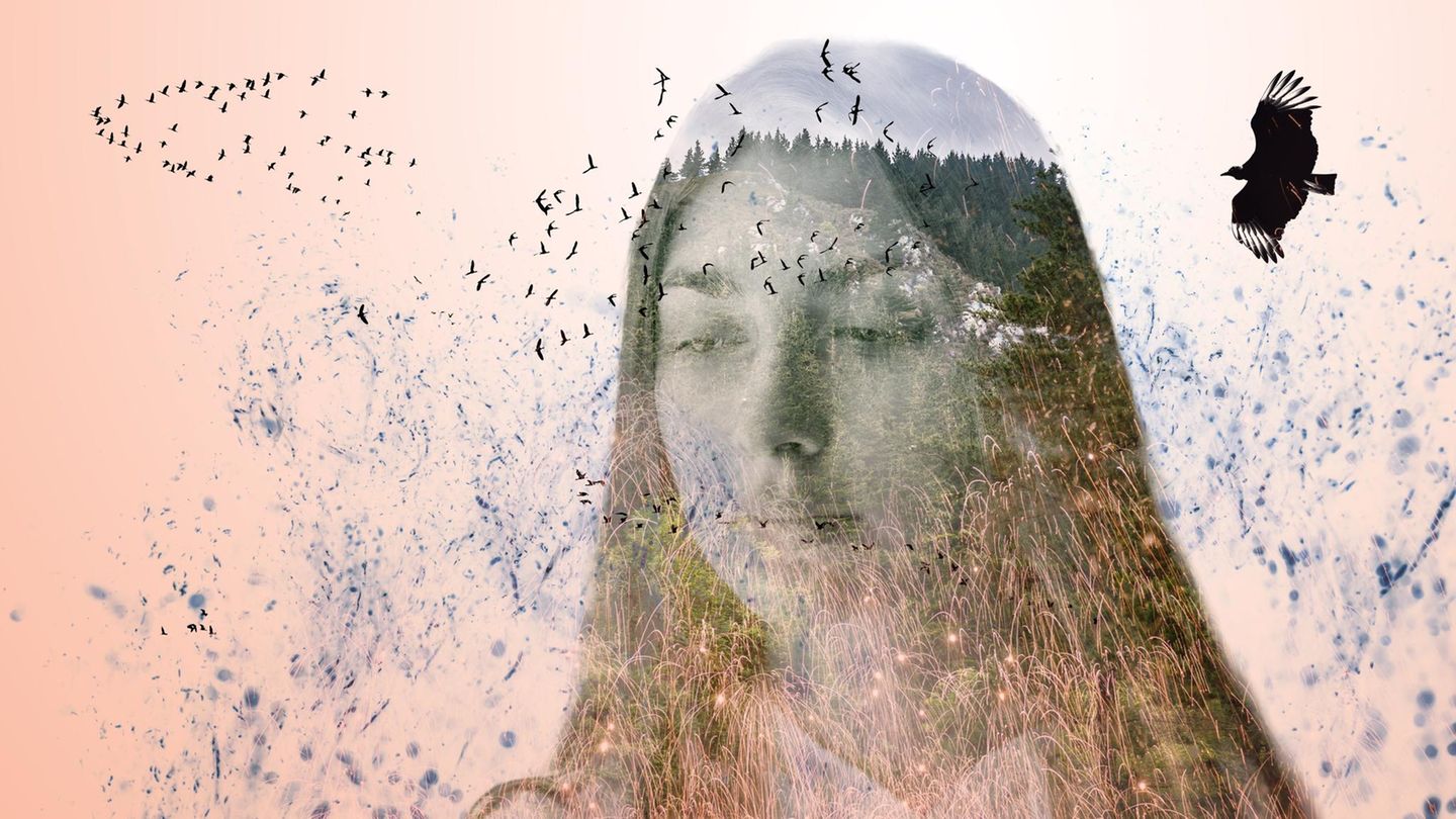 Konfliktmanagement-Unbequeme-Widerspr-che-der-menschlichen-Pers-nlichkeit-mit-denen-wir-leben