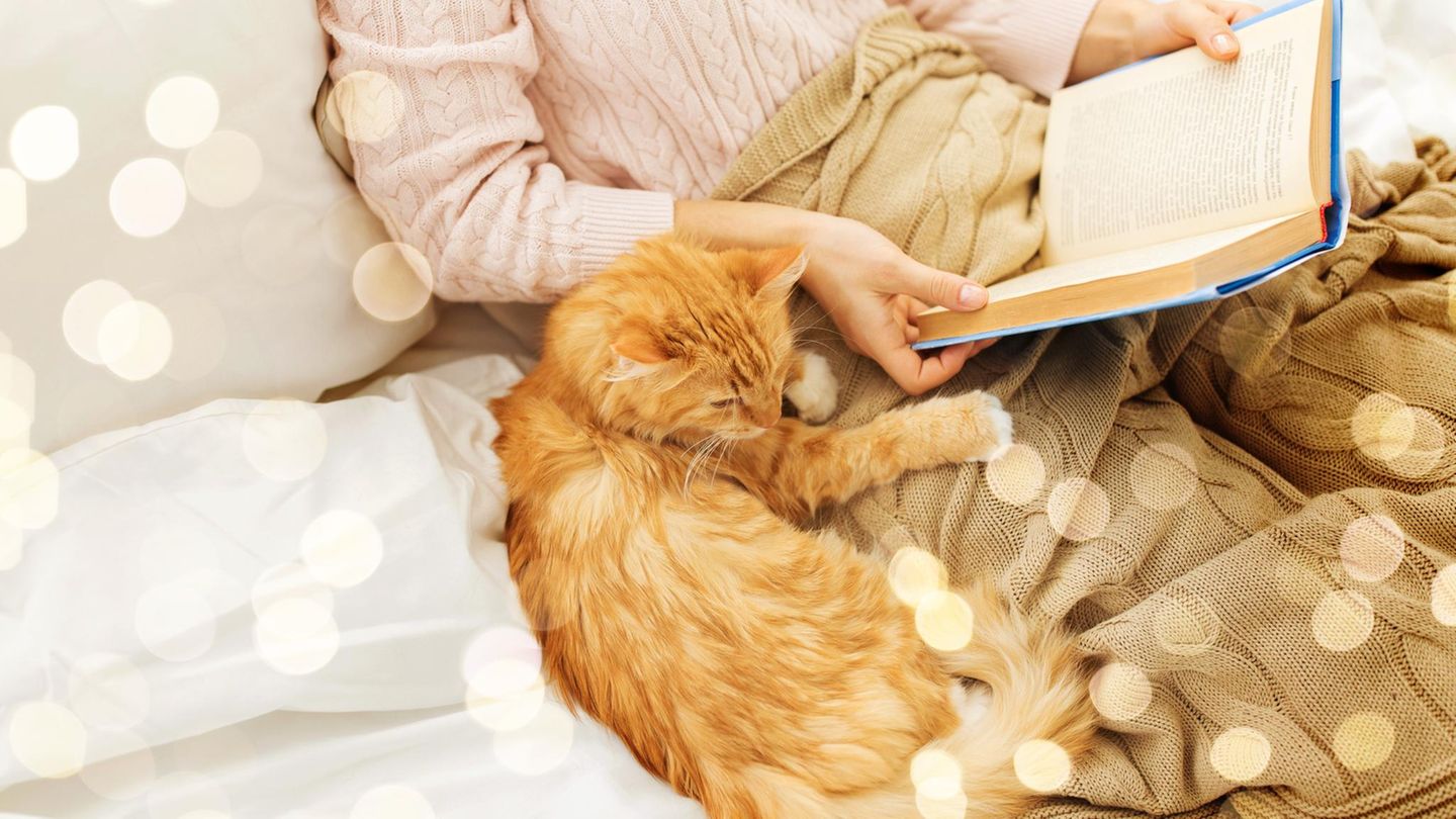 Buchtipps-f-r-Herbst-Winter-5-Liebesromane-die-uns-die-dunkle-Jahreszeit-vers-en