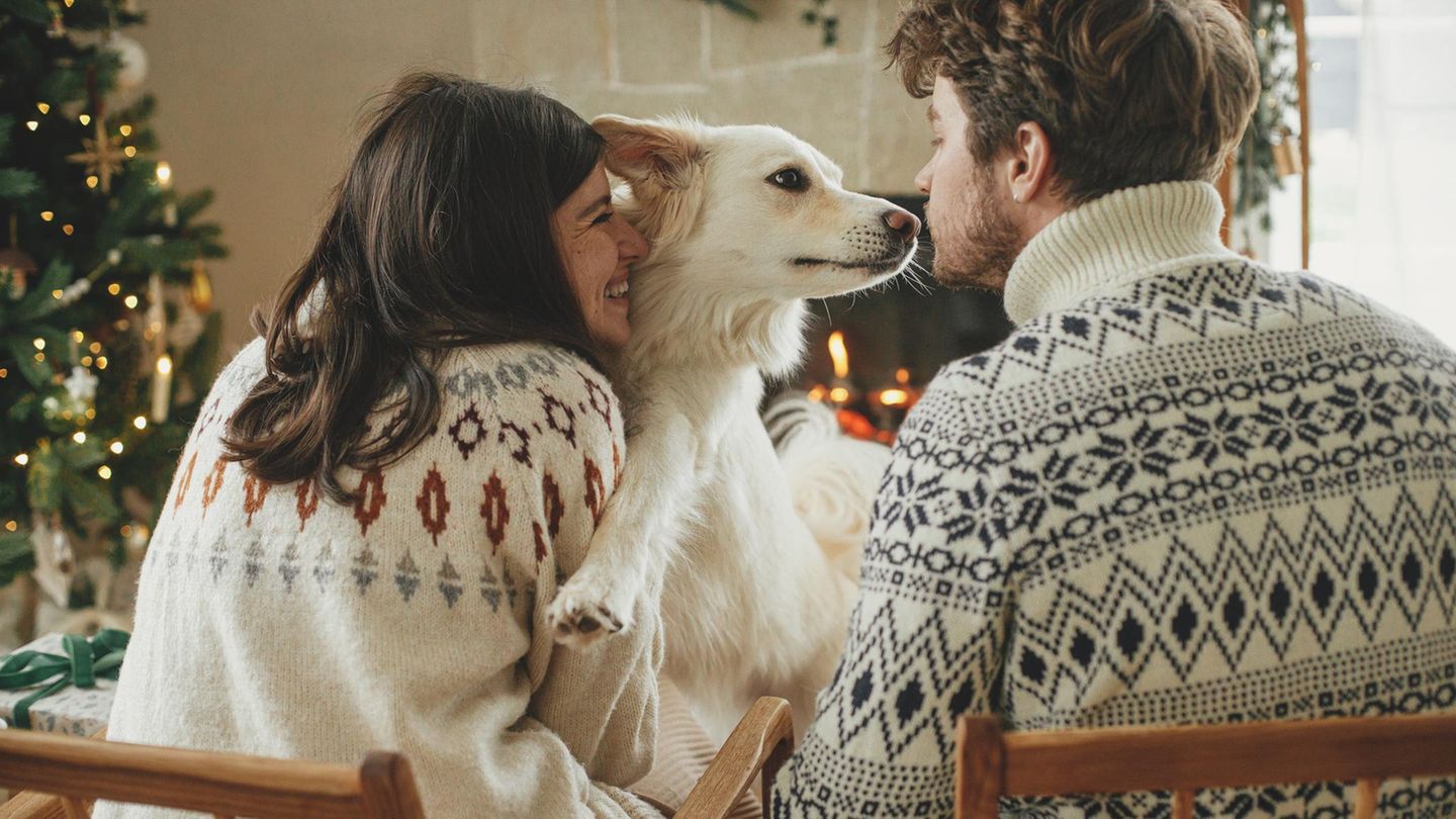 Neumond-Horoskop-am-20-November-2025-3-Sternzeichen-starten-jetzt-in-eine-berraschende-Kuschelromanze