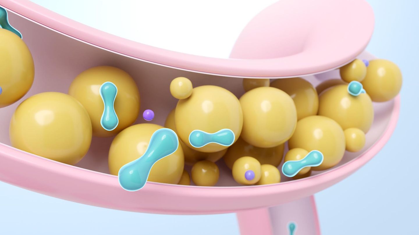 Darmgesundheit-Warum-die-Menopause-ein-guter-Zeitpunkt-ist-mit-Probiotika-anzufangen