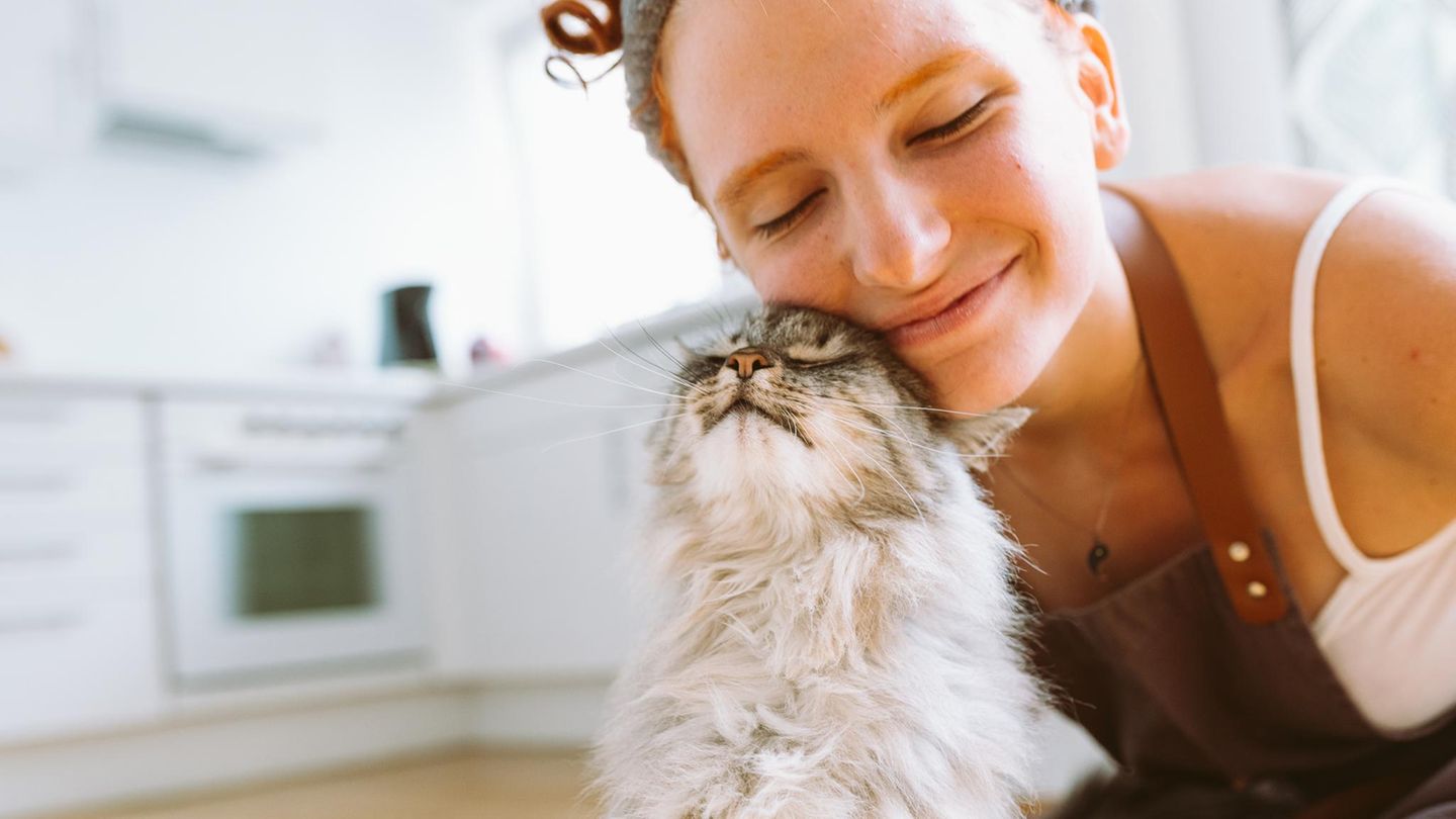 Laut-Astrologie-Diese-3-Sternzeichen-werden-von-Katzen-am-meisten-geliebt