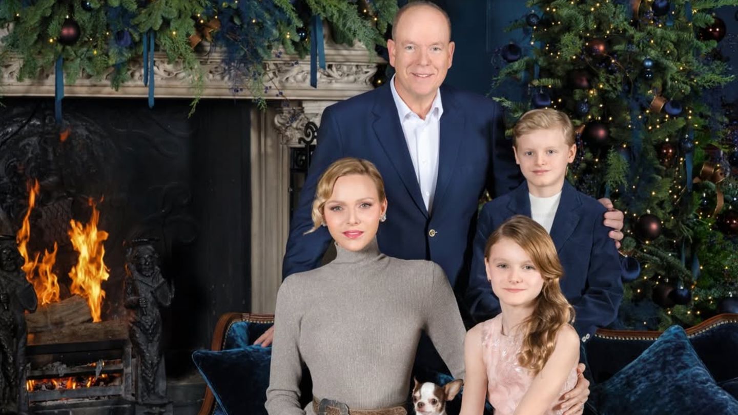 Echte-Stylek-niginnen-Bei-der-diesj-hrigen-Weihnachtskarte-sind-sie-die-Stars