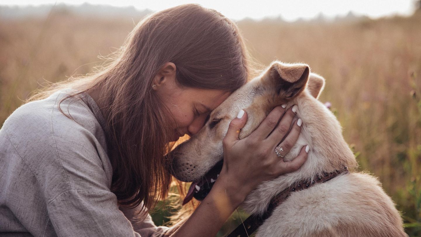 Vertrau-auf-deinen-Hund-Darum-erkennen-die-Vierbeiner-wenn-jemand-dir-nichts-Gutes-will