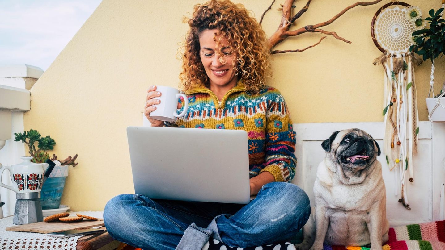 Das-berraschende-Geheimnis-Diese-5-Gr-nde-zeigen-warum-Hunde-sich-an-dich-lehnen