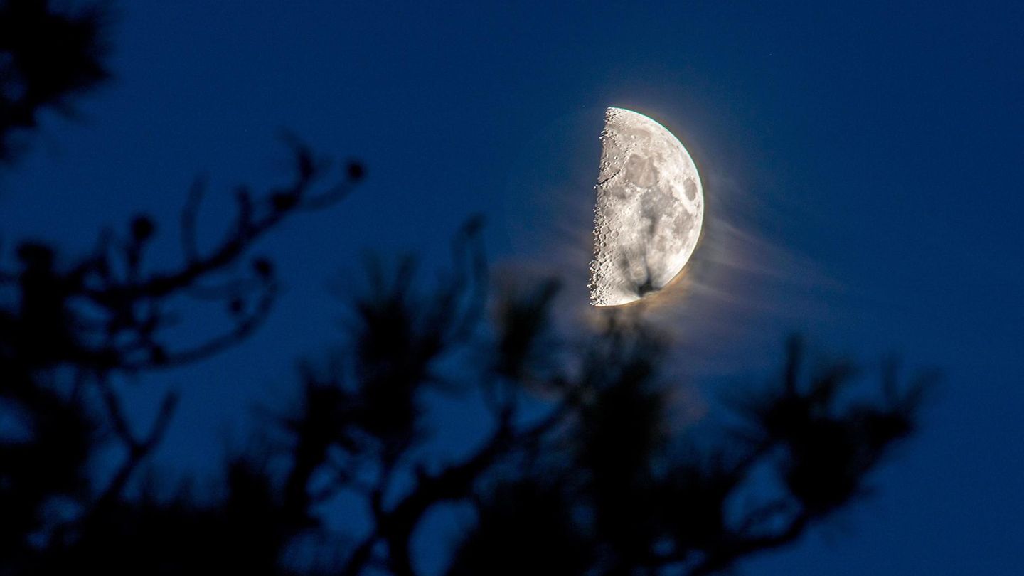 Horoskop-ab-9-Januar-Diese-3-Sternzeichen-sp-ren-am-Wochenende-die-Energie-des-Halbmonds