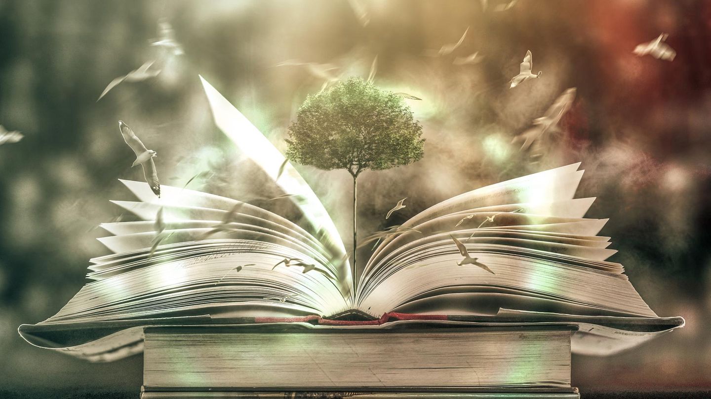 Wie-ein-Erdrutsch-Dieses-Buch-wird-dein-Selbst-und-Weltverst-ndnis-f-r-immer-ver-ndern