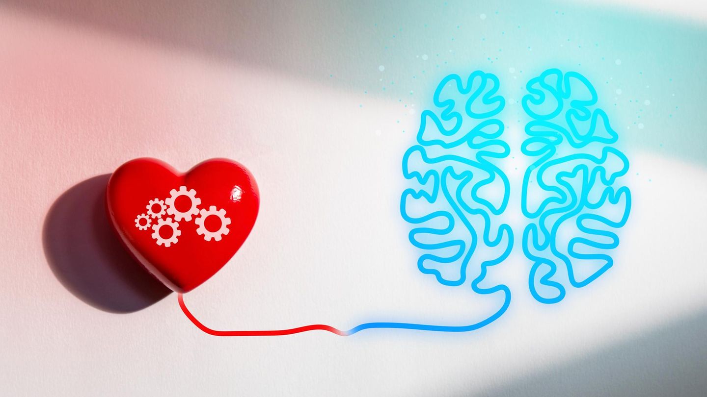 Psychologie-Ist-es-wirklich-deine-Intuition-oder-dein-Instinkt-