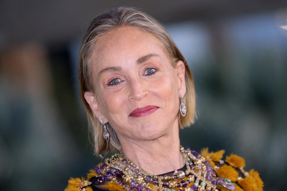 Sharon Stone am 16. April in Los Angeles. Hier trägt sie den schwarzen Kajal nur auf der unteren Wasserlinie. 