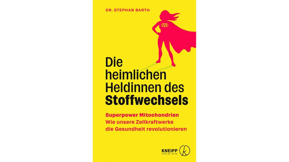 Buchcover "Die heimlichen Heldinnen des Stoffwechsels" von Stephan Barth