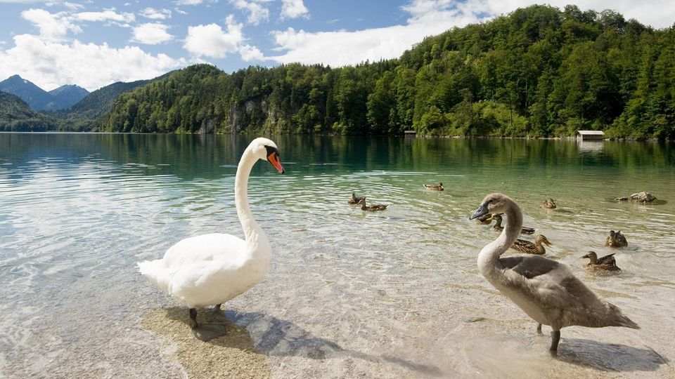 Reisen: Unsere Autorin kennt die versteckten Schätze des Allgäus